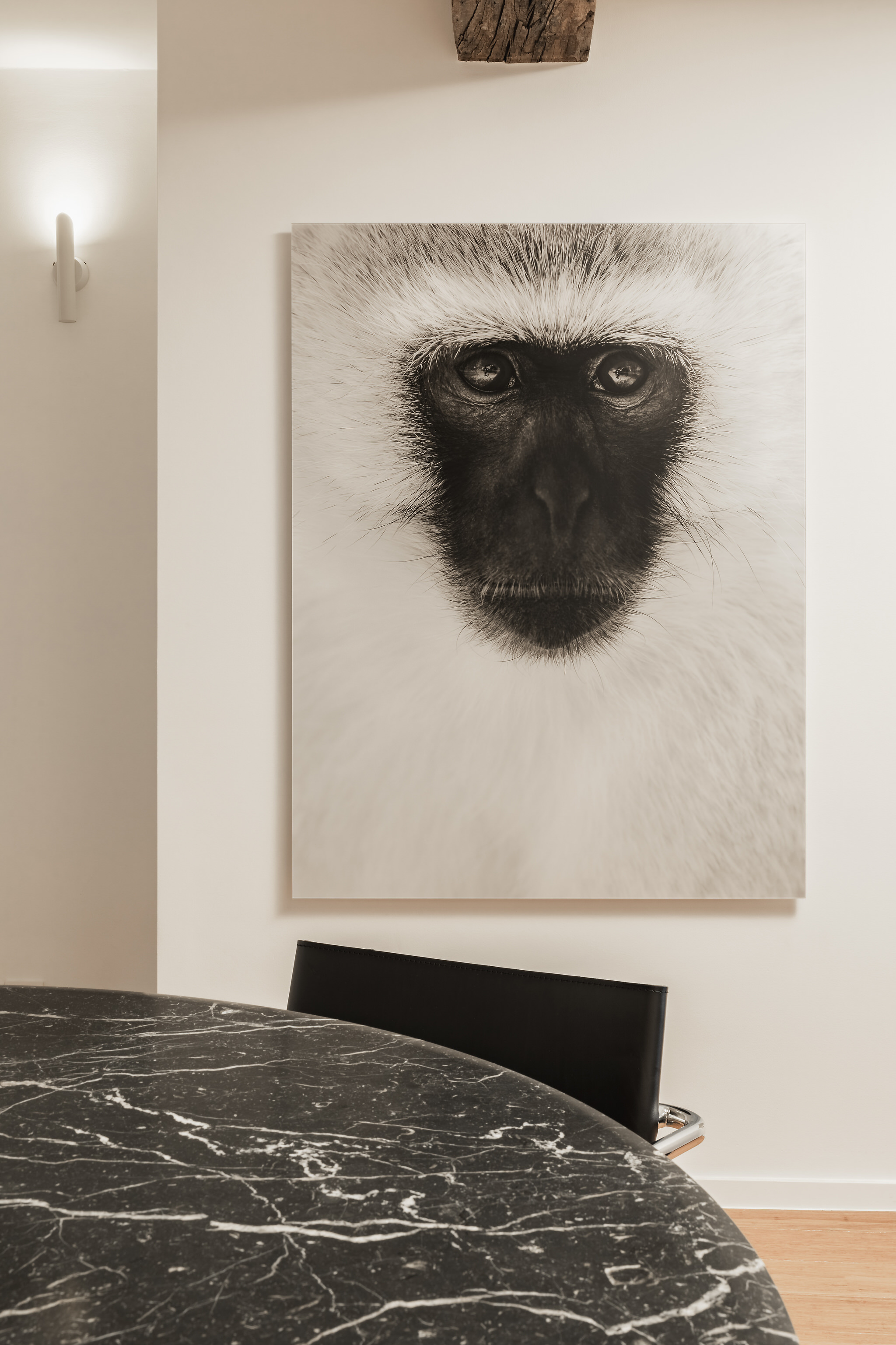 Photography by Tom Jones